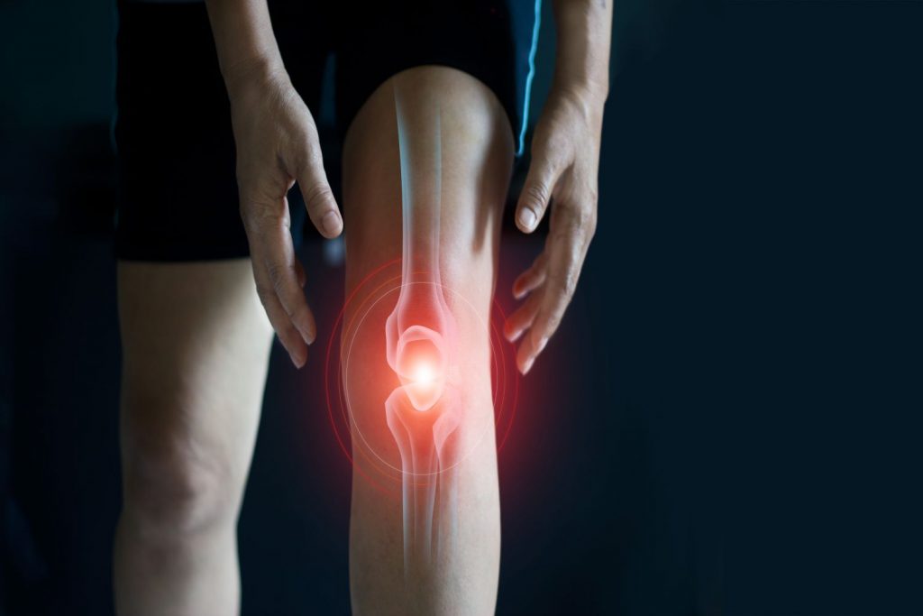 Cartilagine articolare del ginocchio